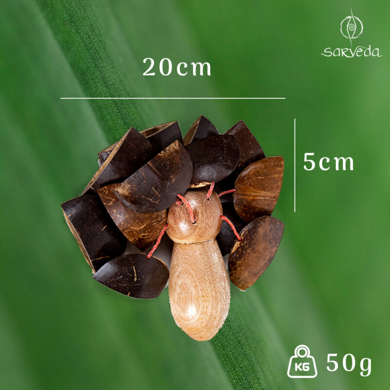 Coconut Rattle - Image 3