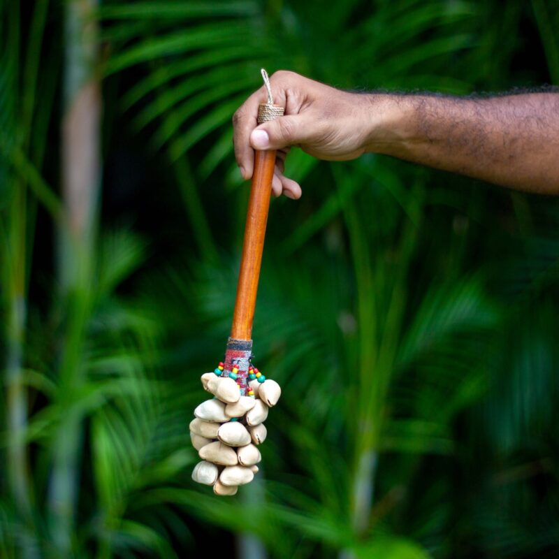 Kenari Seed Shell Shaker with Handle